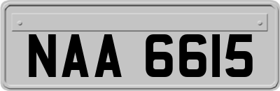 NAA6615