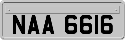 NAA6616