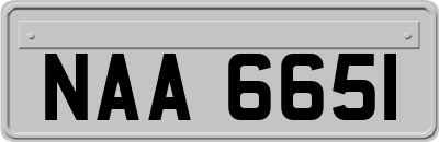 NAA6651