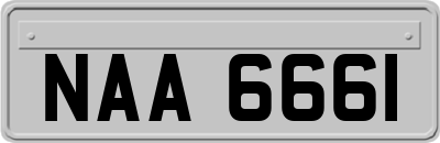 NAA6661