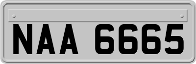 NAA6665