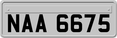 NAA6675