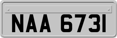 NAA6731