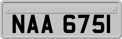 NAA6751