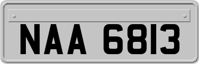 NAA6813