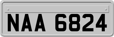 NAA6824