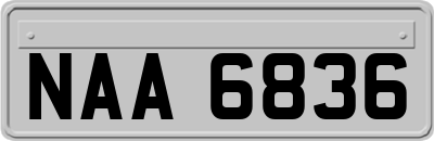 NAA6836