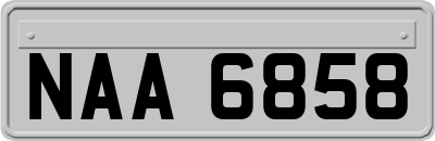 NAA6858