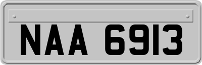 NAA6913