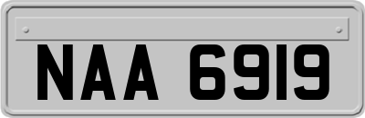 NAA6919