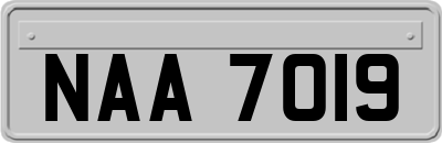 NAA7019