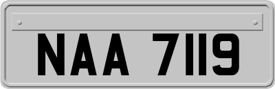 NAA7119