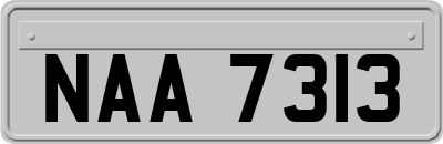 NAA7313