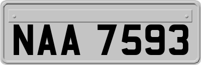 NAA7593