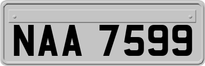 NAA7599