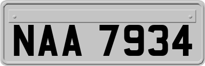 NAA7934