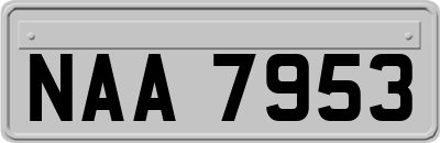 NAA7953