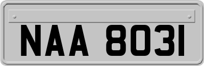 NAA8031