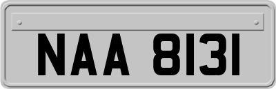 NAA8131