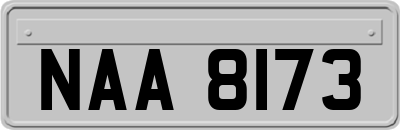 NAA8173