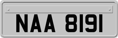 NAA8191