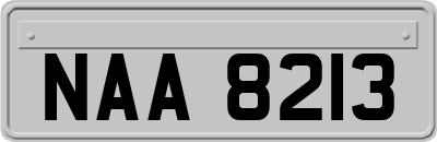 NAA8213