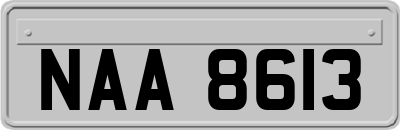 NAA8613