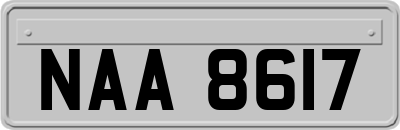 NAA8617