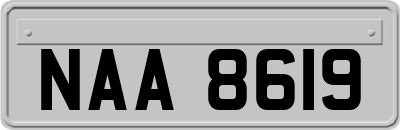 NAA8619