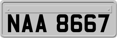 NAA8667