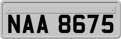 NAA8675