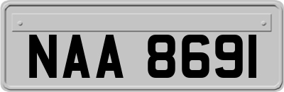 NAA8691