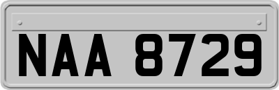 NAA8729