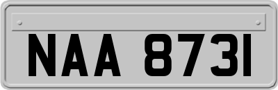 NAA8731