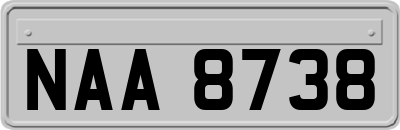 NAA8738