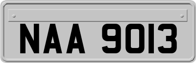 NAA9013