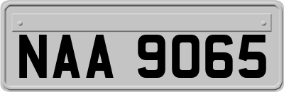 NAA9065