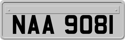 NAA9081