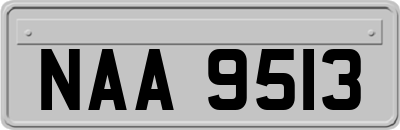 NAA9513