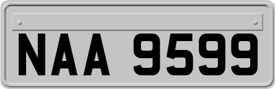 NAA9599