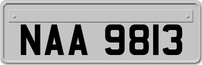 NAA9813