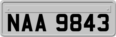 NAA9843