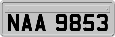 NAA9853