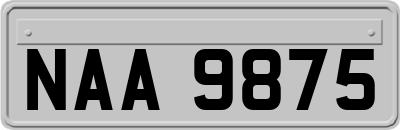 NAA9875