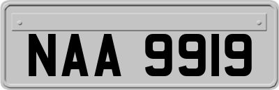 NAA9919