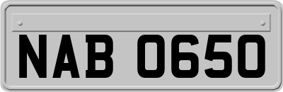 NAB0650