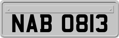 NAB0813