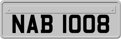 NAB1008