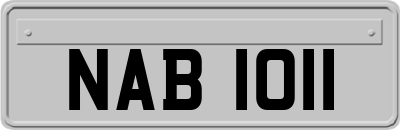 NAB1011