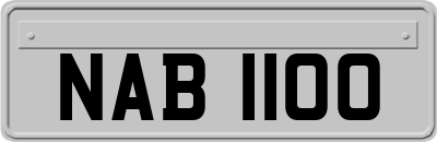 NAB1100